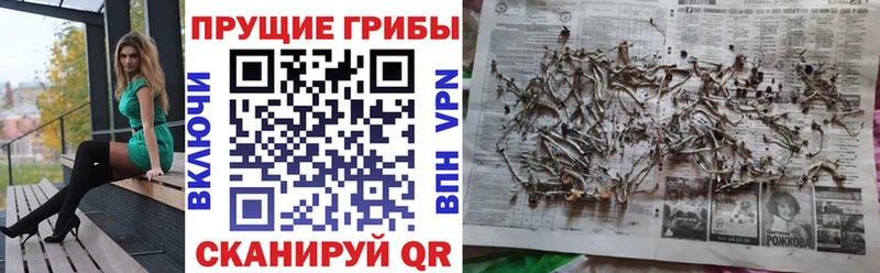 Галлюциногенные грибы Magic Shrooms  kraken вход  Берёзовский 